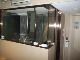 Стеклянный туалет в номере в отеле Гонконга. Пришли в гости к нам с товарищем девки, водки попить, так постоянно выгоняли в коридор гостиницы, им в туалет надо.))