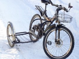 Томская область 85-90 гг. Брали спинку от железной кровати, к ней варили переднюю вилку от велика, ставили колесо и гоняли всю зиму хоть по снегу, хоть по льду!