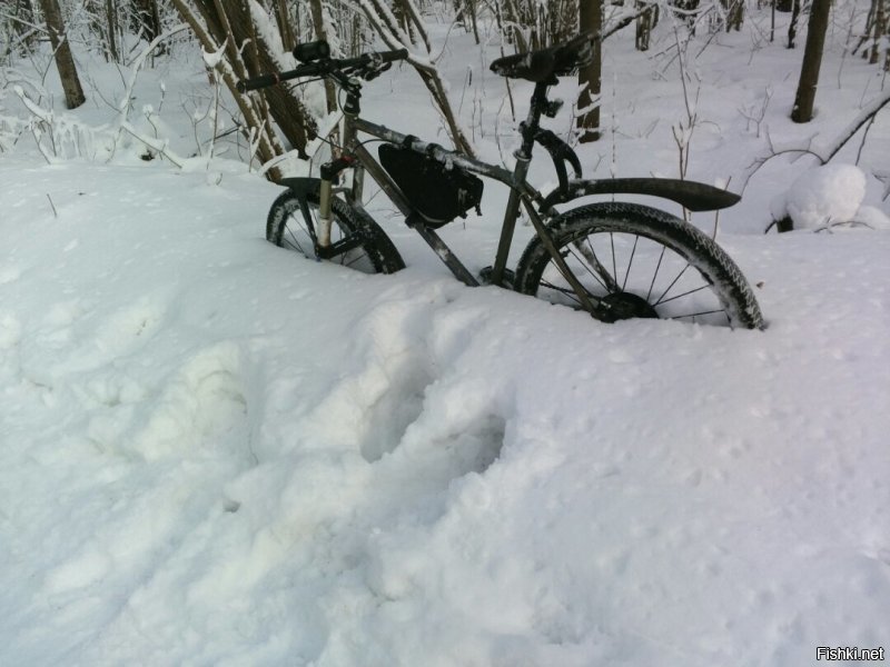 Пффф...Детский сад..На таких велосипедах они далеко не уедут....Только вчера фото сделал