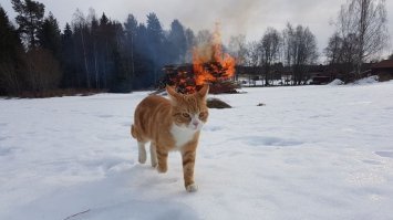 Ничего не знаю, я пришла оно уже горело.