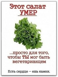 Прикольные и смешные картинки