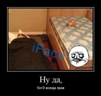 Картинки с надписями
