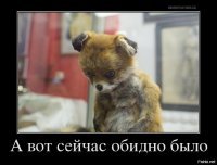 Картинки с надписями