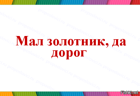 Кролик Ромео весит в 4 раза меньше своей подружки, но это не стало помехой их большой пушистой любви