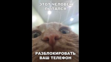 Сын спалился... Глаза были вот такие О_о
