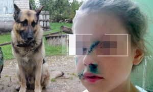 Ну и мои пять копеек в тему