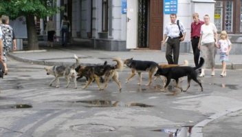 Ну и мои пять копеек в тему