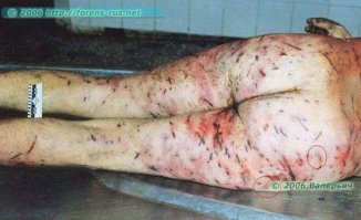 Ну и мои пять копеек в тему