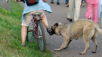 Ну и мои пять копеек в тему