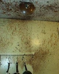 вот объясните мне зачем её самому варить, если даже у нас в Голландии можно купить варёную сгущёнку из Беларуссии???