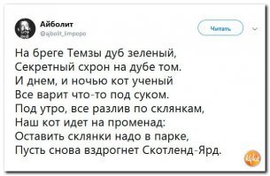 Кот Скрипаля,продолжает сеять панику среди населения Великобритании.