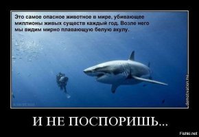 Удачная охота может стоить коммерсанту бизнеса