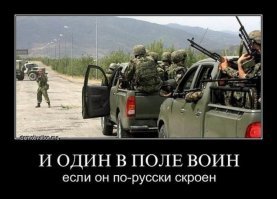 Готовятся к Универсиаде: Красноярск "озеленили" срубленными елками