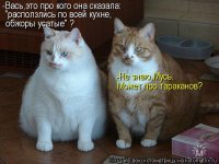 Картинки с надписями