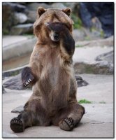 Картинки с надписями