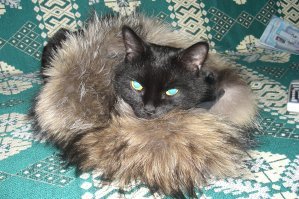 Для настроения