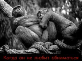 То ли смех, то ли слёзы