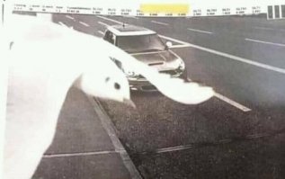 Так вот как выглядит птица счастья!