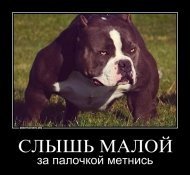 Скоро таким станет ;)
