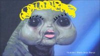 Прикольные и смешные картинки