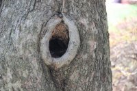 Прикольные и смешные картинки