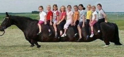 На Кавказе тоже есть цыгане