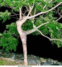 Неповторимое очарование природы