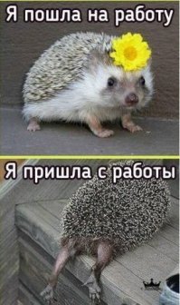 Он тут гуляет а я