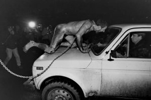 С другого ракурса))