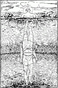 Как тебя видит рыба? 
(Из "Занимательной физики" Перельмана)