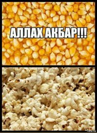 Взрывоопасный пост об арабах