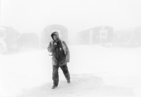 весь архив тут не поместится