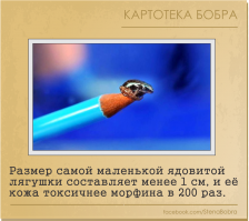 Такая ядовитость для того чтобы добраться до своего убийцы-пожирателя с того света..