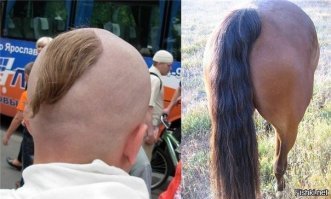 Хвост  никогда не ошибается!