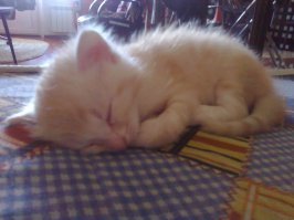 Я звал его Огненный Стас