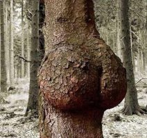 Красота человеческого тела в сочетании с элементами природы