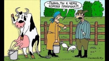Дойка закончилась, отсос начался