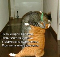 Прикольные и смешные картинки