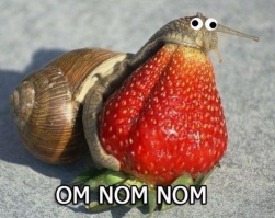 Фотоподборка за 19.02.2019