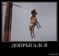 Допрыгались: в китайской провинции Гуандун рухнул веревочный мост с туристами