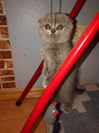 Жду, когда же со мной поиграют)))