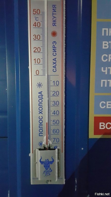 Оленей в Якутске нет. Цены на фрукты указаны в далеких улусах - реально цены в 2 раза дешевле  в Якутске. Рыбы валом. Распиловка мяса есть. Про возвращенные 100 К полицейским все верно - писали газеты и интернеты. Вообще здесь много чего возвращают, полиция весьма демократичная и дружелюбна. Топливо всегда было дороже на рублей 12-15 чем в европейской части России (та даже в Иркутске) В цену входит еще доставка  а она ой как не дешевая.  Байки про плевок который превращается в лед при приземлении при минус 45-50 остаются байками. Не поленился и пошел сделал несколько фоток чтобы расширить сюжет о Якутске в частности.