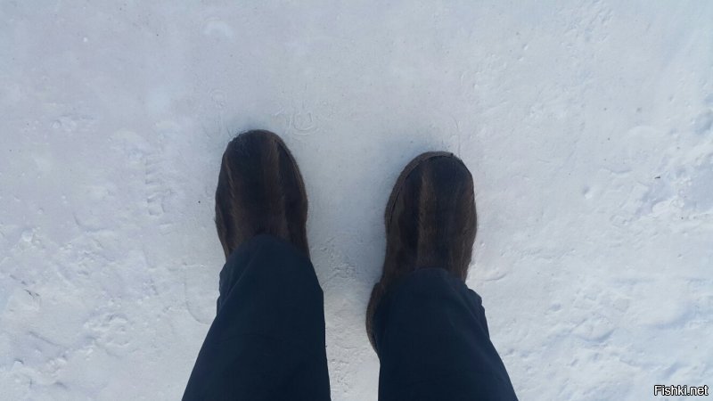 Оленей в Якутске нет. Цены на фрукты указаны в далеких улусах - реально цены в 2 раза дешевле  в Якутске. Рыбы валом. Распиловка мяса есть. Про возвращенные 100 К полицейским все верно - писали газеты и интернеты. Вообще здесь много чего возвращают, полиция весьма демократичная и дружелюбна. Топливо всегда было дороже на рублей 12-15 чем в европейской части России (та даже в Иркутске) В цену входит еще доставка  а она ой как не дешевая.  Байки про плевок который превращается в лед при приземлении при минус 45-50 остаются байками. Не поленился и пошел сделал несколько фоток чтобы расширить сюжет о Якутске в частности.