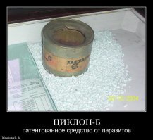 Под юбкой цыганки способна уместиться целая тележка продуктов