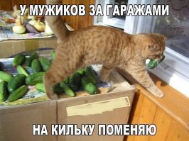 Пушисто-хвостатый пост!