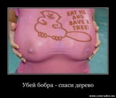 13 необычных примеров заботы о планете