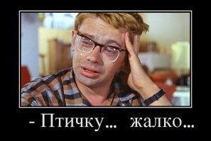 Птичку , жалко