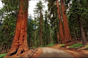 Пейзажи Калифорнии