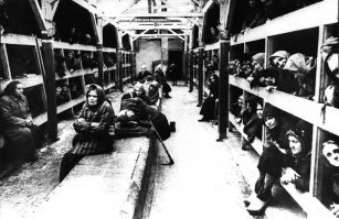 Это фото - меньше половины барака. 120 человек на барак, говорите?