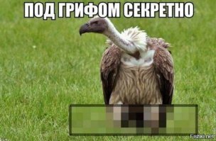 17 привычных вещей, которые изнутри выглядят куда занимательнее, чем снаружи